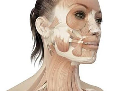 Facial Skin vs. Body Skin – What’s the Difference?